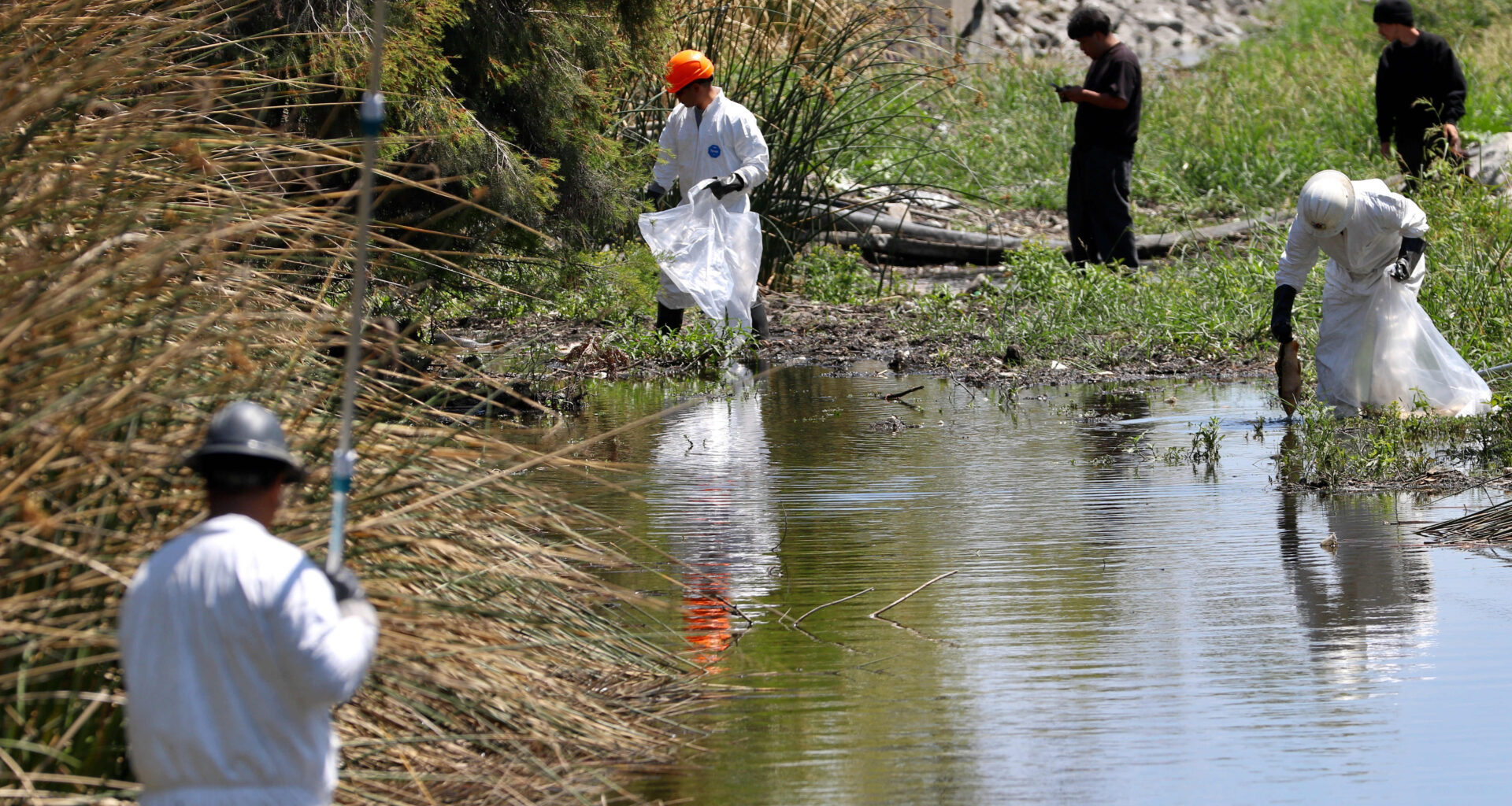 Long Beach seeks accountability for Boyle Heights warehouse fire runoff that got into waterways – Press Telegram