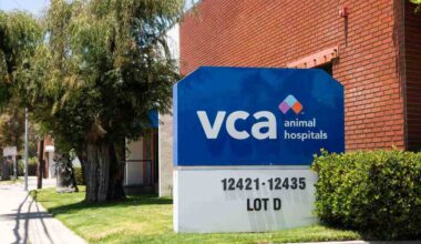 VCA Animal Hospitals laying off nearly 200 across L.A. and Bay Area – Redlands Daily Facts