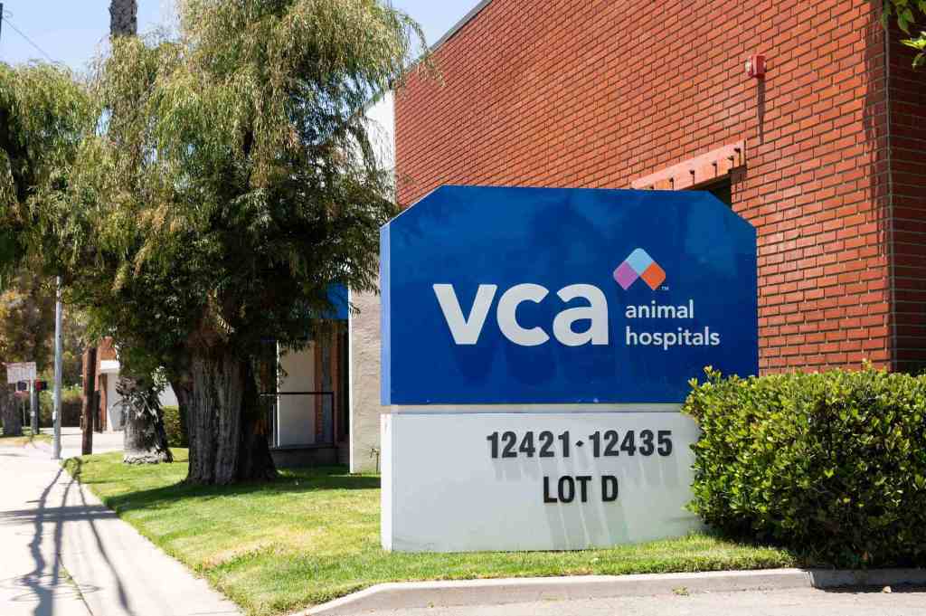 VCA Animal Hospitals laying off nearly 200 across L.A. and Bay Area – Redlands Daily Facts