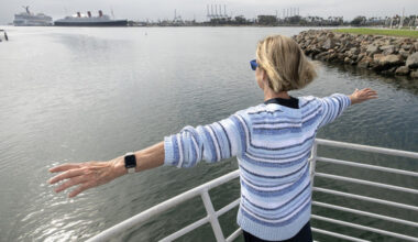 Ferry companies pursue LA28 Olympics water taxi between Long Beach, San Pedro – Daily News
