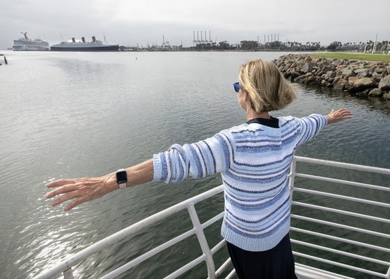 Ferry companies pursue LA28 Olympics water taxi between Long Beach, San Pedro – Daily News