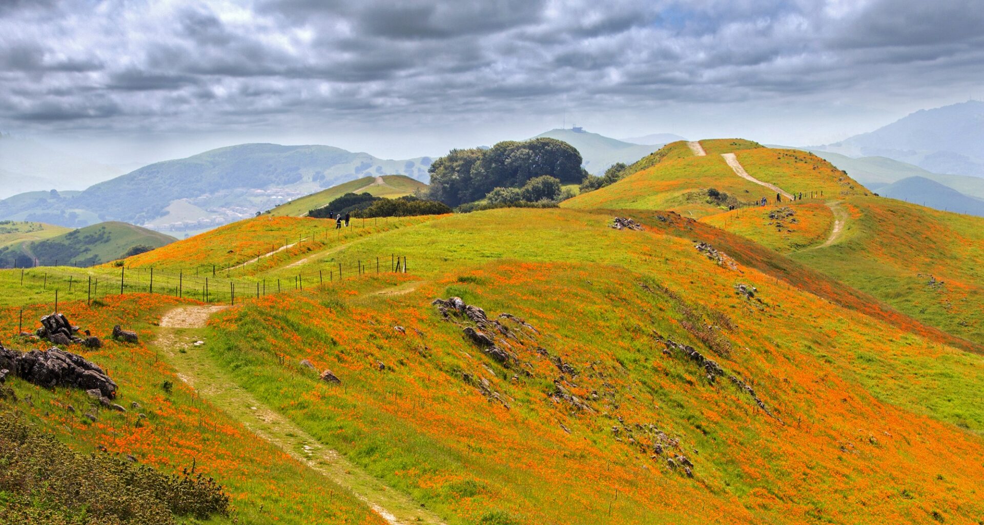 Want Access to New, Less-Crowded Bay Area Hiking Trails? A $10 EBMUD Permit Could Be the Answer