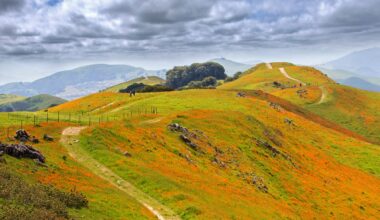 Want Access to New, Less-Crowded Bay Area Hiking Trails? A $10 EBMUD Permit Could Be the Answer