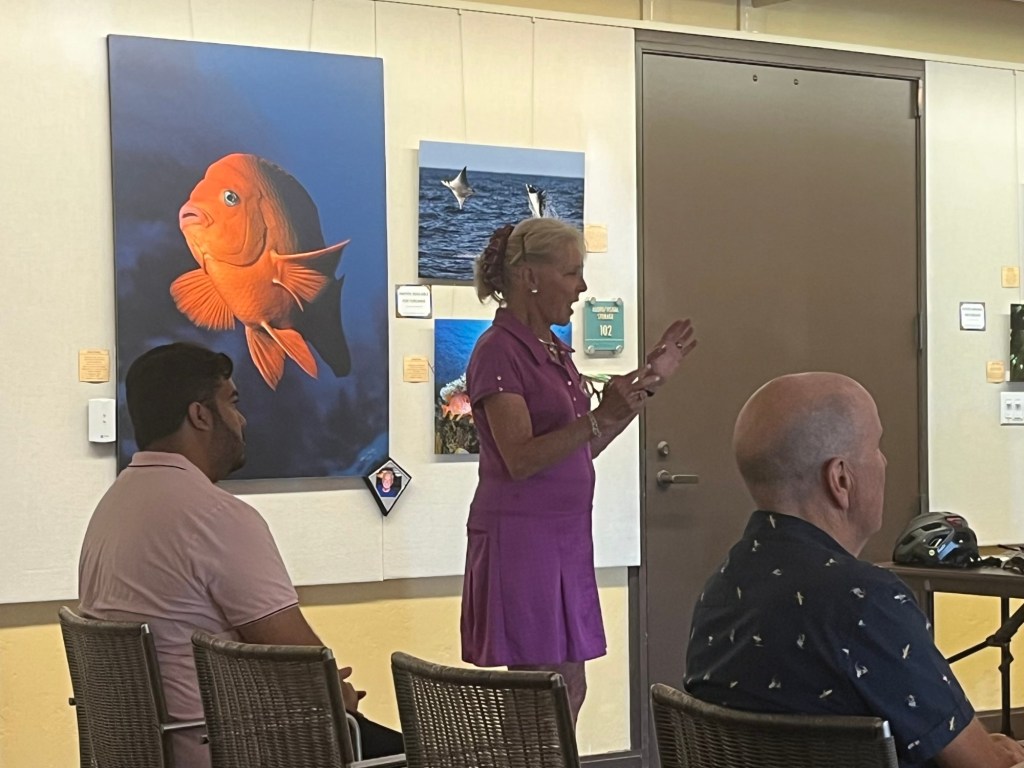 ‘Pedestrian scramble’ suggested for La Jolla, but traffic board takes no action – San Diego Union-Tribune