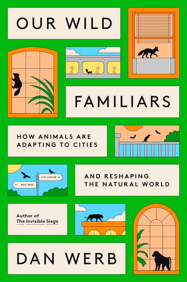 "Our Wild Familiars: How Animals are Adapting to Cities and Reshaping the Natural World" is available for purchase on Tuesday, July 14. (Provided by Crown Publishing)