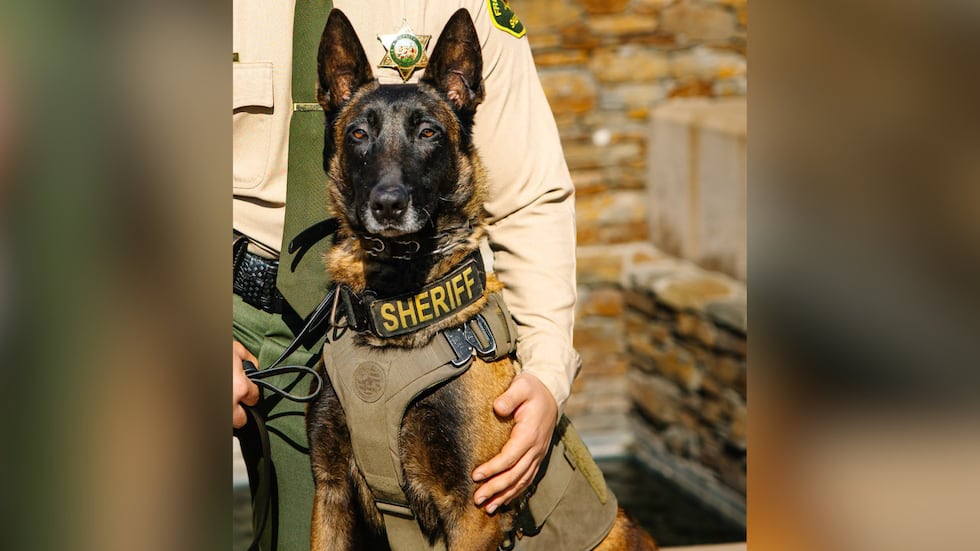 K-9 Santi was a 5-year-old Belgian Malinois and served with the Fresno County Sheriff’s Office...