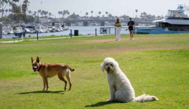 Long Beach homeowners group to restore public access to coastal park after decades of restriction – Press Telegram