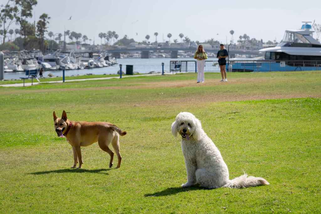 Long Beach homeowners group to restore public access to coastal park after decades of restriction – Press Telegram