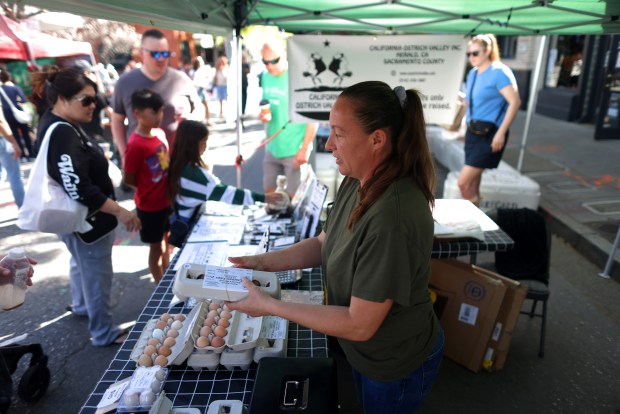 California Ostrich Valley Ranch owner Nataliya Toderica sells a carton of chicken eggs during the weekly Campbell Farmers' Market on Sunday, March 15, 2026. (Aric Crabb/Bay Area News Group)