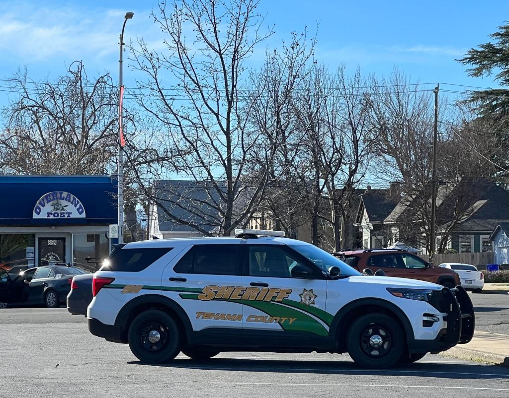 Northern California child attacked by multiple dogs on Saturday – The Press Democrat