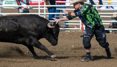 PHOTOS: Fun and frolicing at California Rodeo Salinas – Monterey Herald