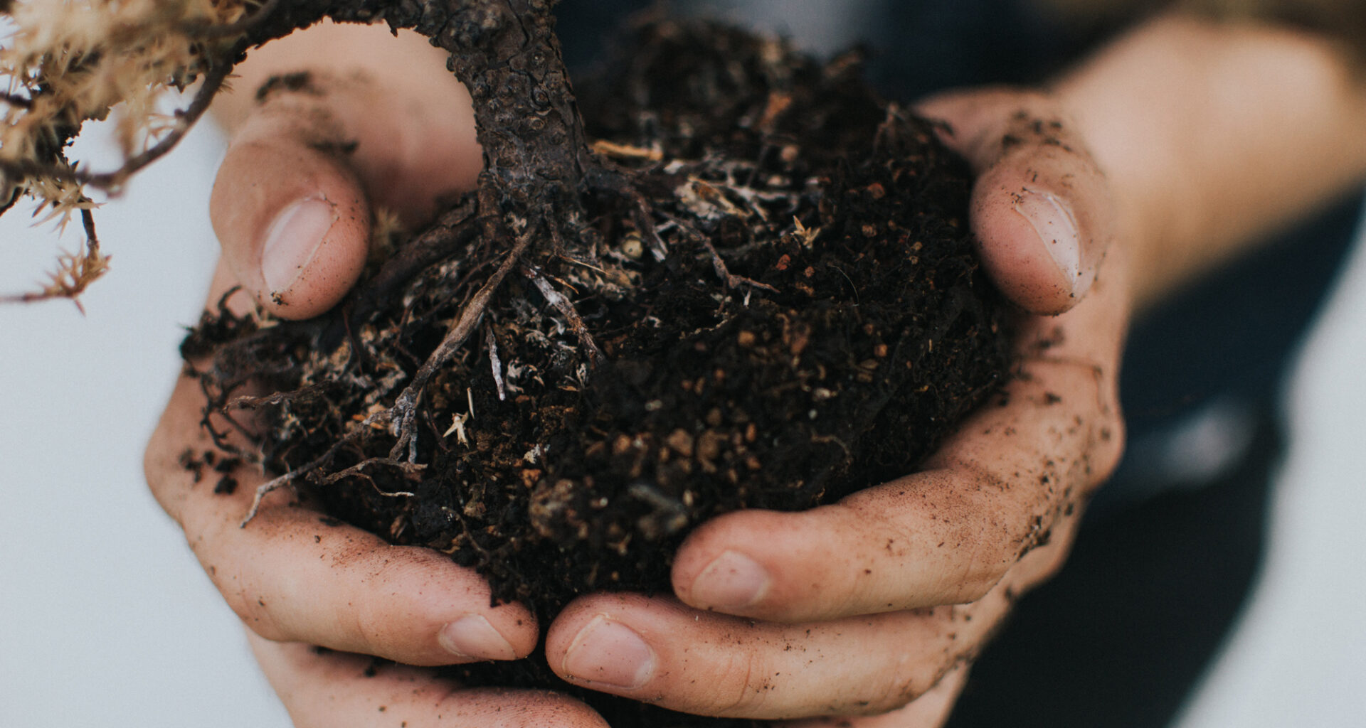 San Jose to open first monthly self-serve compost hub – The Mercury News