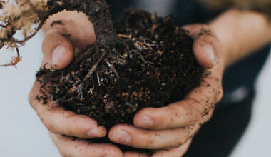 San Jose to open first monthly self-serve compost hub – The Mercury News