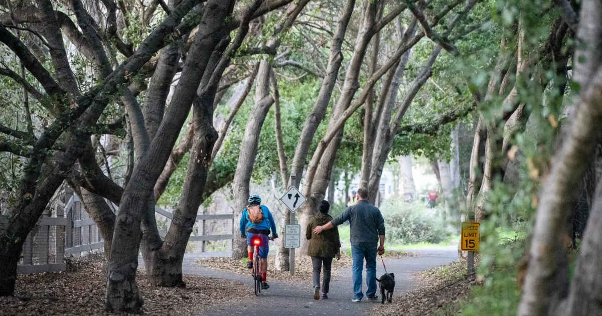 Mountain View adopts biodiversity, urban forest plan