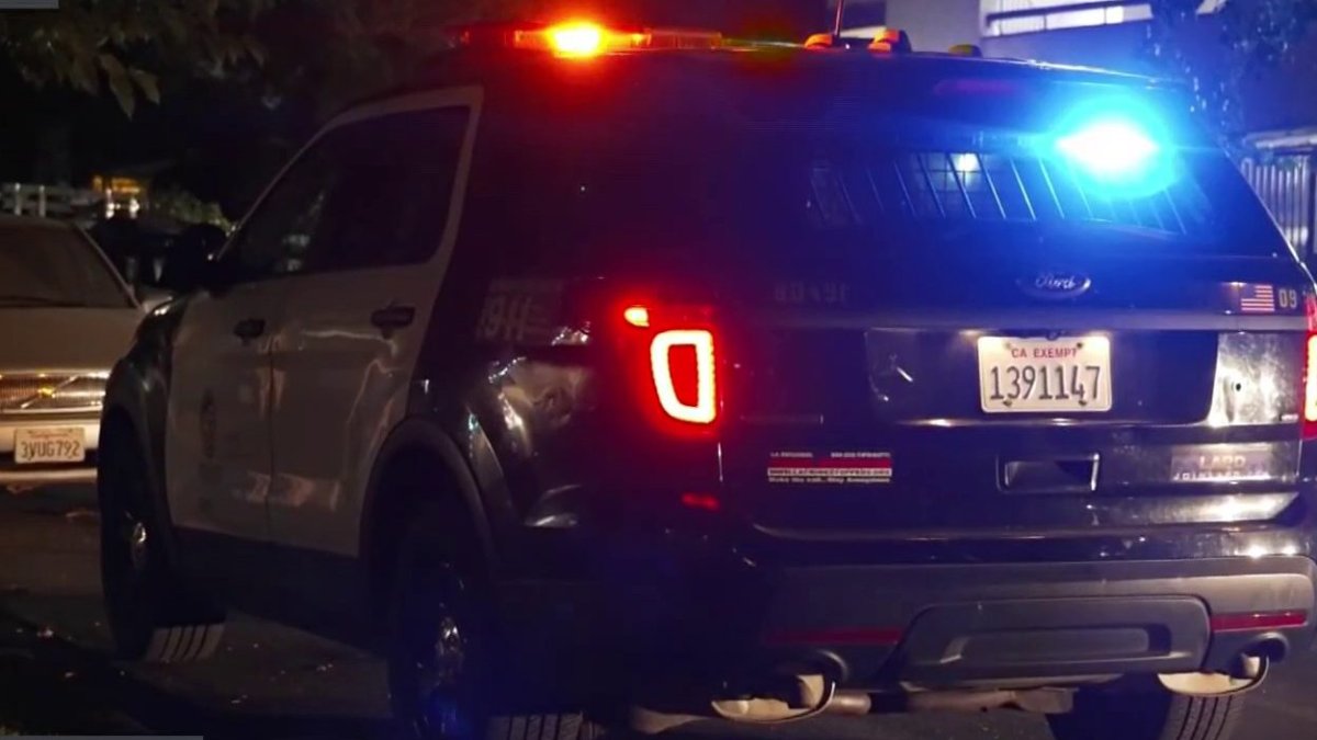 Purse, phone and cash reported stolen in Van Nuys robbery – NBC Los Angeles