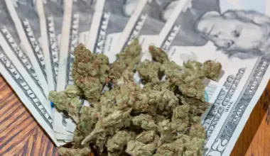 California Treasurer Announces Hearing On Marijuana Business Banking Access Issues