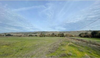 Trust Buys Monterey Pondside for Vital Wildlife Link in North Coyote Valley