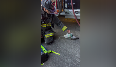 Oakland firefighters honored for saving pigeon