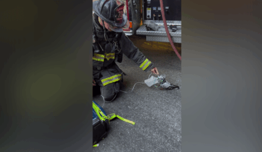 Oakland firefighters honored for saving pigeon that suffered smoke inhalation