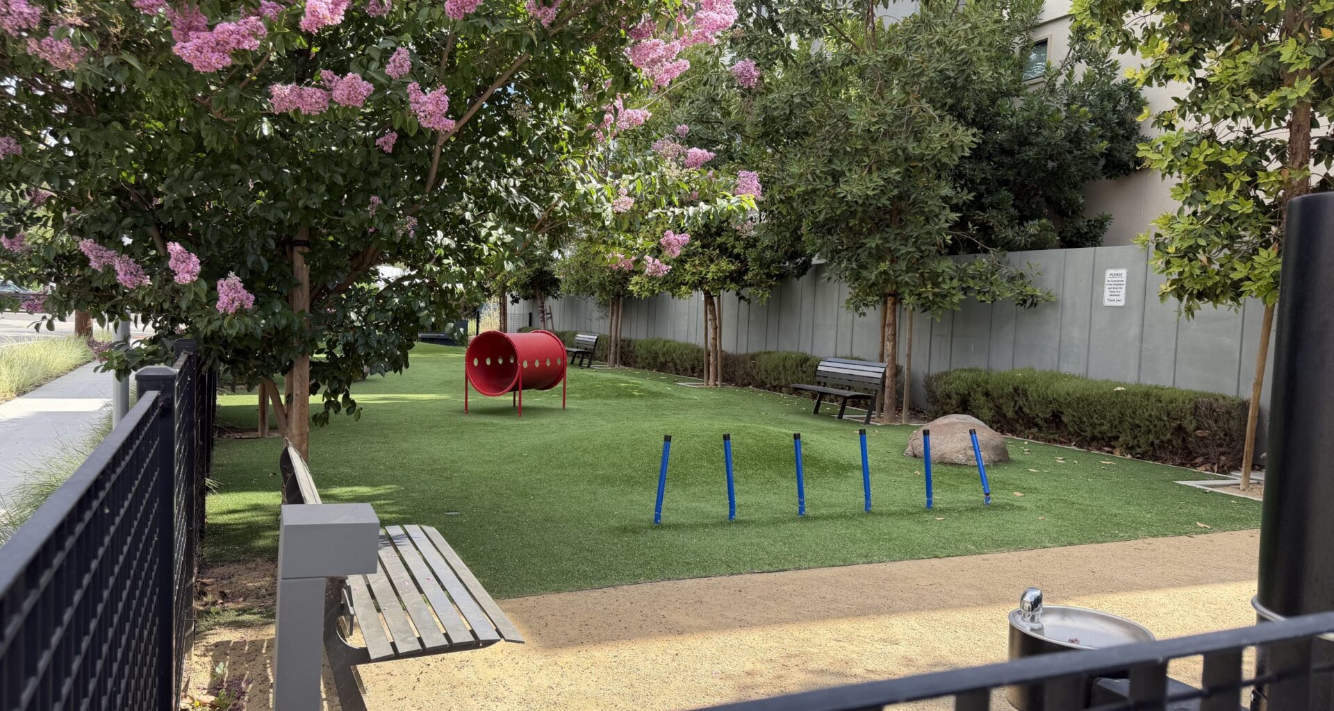 Santa Clara's environmental report found no toxins at Nuevo Dog Park, so the city reopened the park on June 12.
