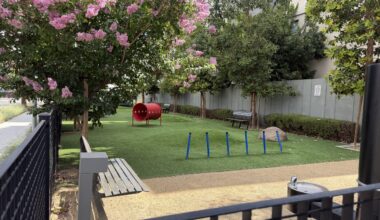 Santa Clara's environmental report found no toxins at Nuevo Dog Park, so the city reopened the park on June 12.