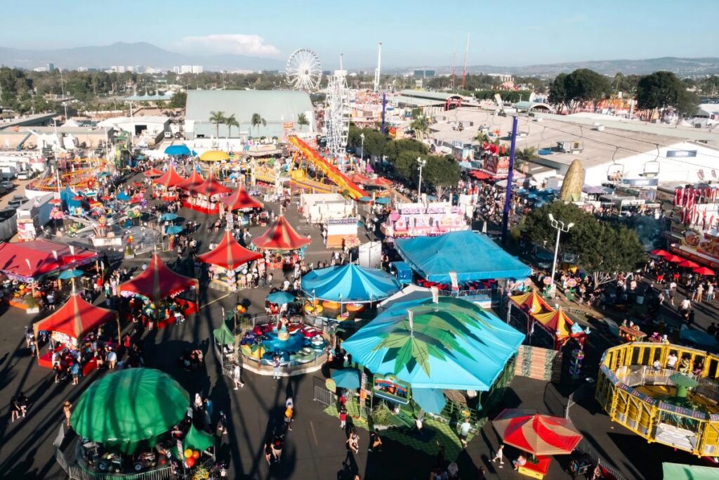 OC Fair (3)