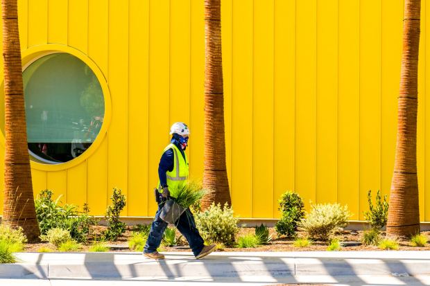 A worker at OCVIBE moves plants in Anaheim on Thursday, March 26, 2026 as construction continues at the new Anaheim venue. (Photo by Leonard Ortiz, Orange County Register/SCNG)