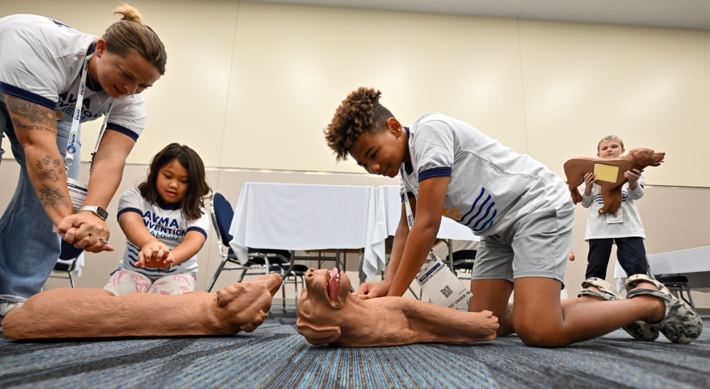 Kids train as vets for a day at Anaheim Convention Center – Orange County Register