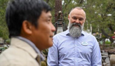 Disneyland’s Hero Trees play a storytelling role as supporting characters – Orange County Register