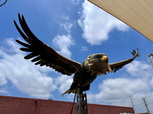 An animatronic eagle created for the America250 Rose Parade float at Rando Productions in North Hollywood. (Photo by Brady MacDonald, Orange County Register/SCNG)