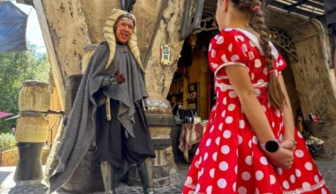 Frumpy Mom: Will your kids be safe at Disneyland? – San Gabriel Valley Tribune