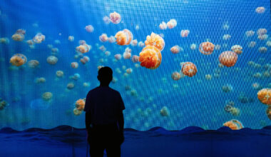 Shark Week learning at the Discovery Cube – Orange County Register
