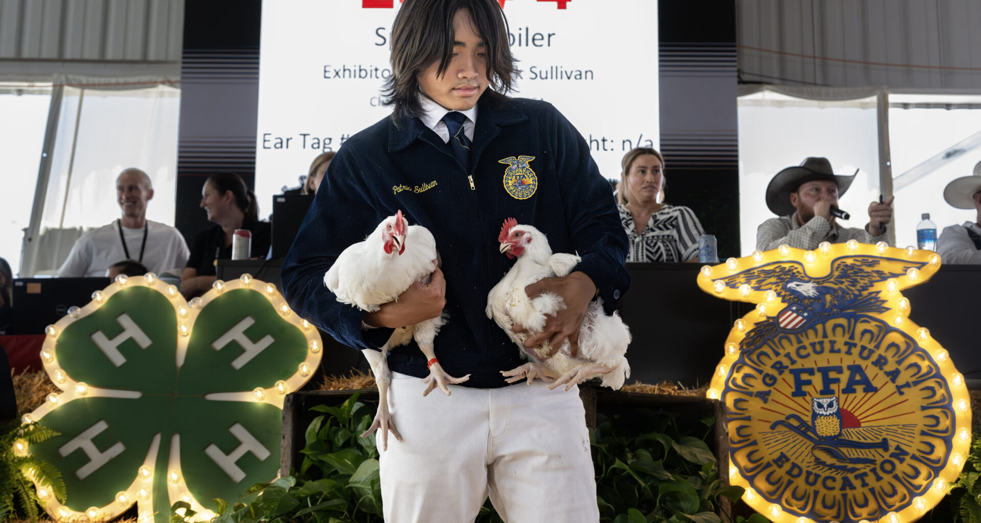 Youth in FFA, 4-H showcase their market-ready livestock at OC Fair – Orange County Register