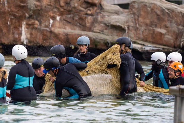 Beluga whale "Bertie Botts" is rescued from Marineland in Niagara Falls, Ontario, on Monday, July 20, 2026. (Carlos Osorio/The Canadian Press via AP)
