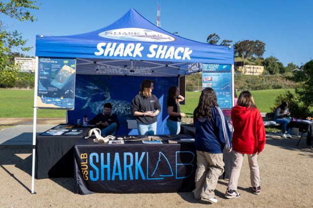 Cal State Long Beach Shark Lab's Shark Shack booth during a media preview of the City of STEM and Los Angeles Maker Faire's STEM science festival on Tuesday, April 2, 2024. The preview was held by the City of STEM and the Los Angeles Public Library at the Los Angeles State Historic Park where the festival will be held on Saturday. (Photo by Hans Gutknecht, Los Angeles Daily News/SCNG)