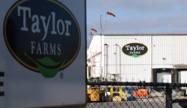As parasite spawned chaos, California’s Taylor Farms slow-walked response – Orange County Register