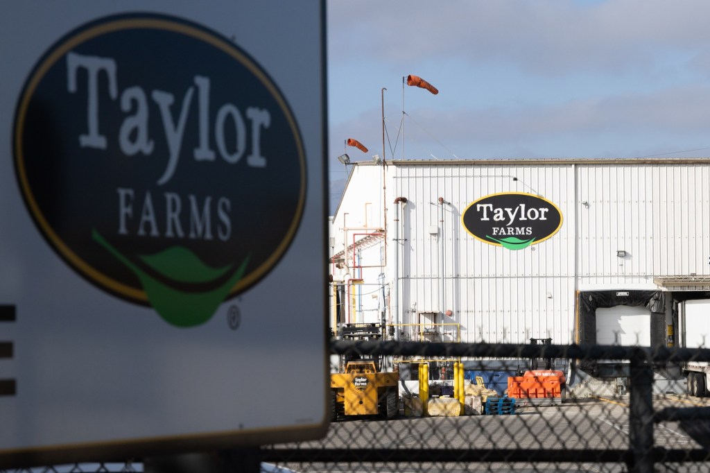 As parasite spawned chaos, California’s Taylor Farms slow-walked response – Orange County Register