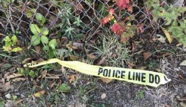 UPDATE: Woman facing attempted murder charge for alleged Long Beach knife attack