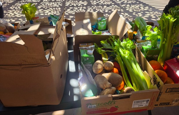 A variety of produce and staples are given away each week during the summer at the Poway Library. (Julie Gallant)