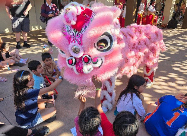 Lion dancers entertain kids at the Poway Library's Lunar New Year celebration. (Julie Gallant)