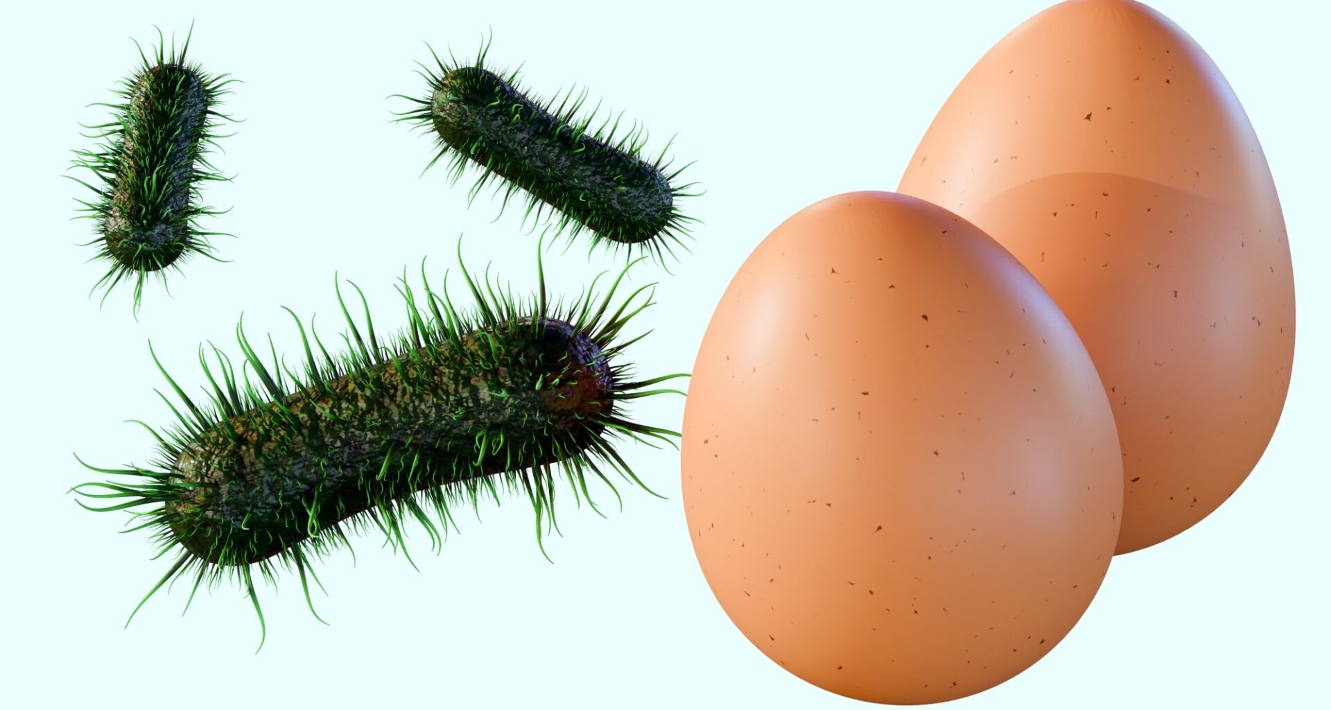 Salmonella outbreak linked to Ramona deli's use of raw, unpasteurized eggs