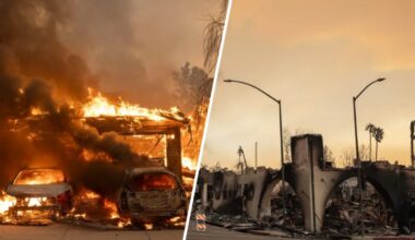 LA to receive millions more from Newsom’s wildfire relief fund – NBC Los Angeles