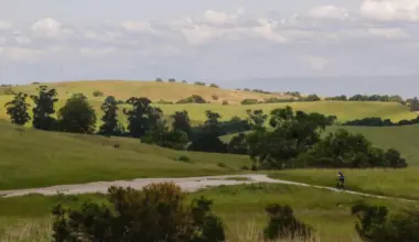 Pipeline project will prompt trail closures at Palo Alto nature preserve