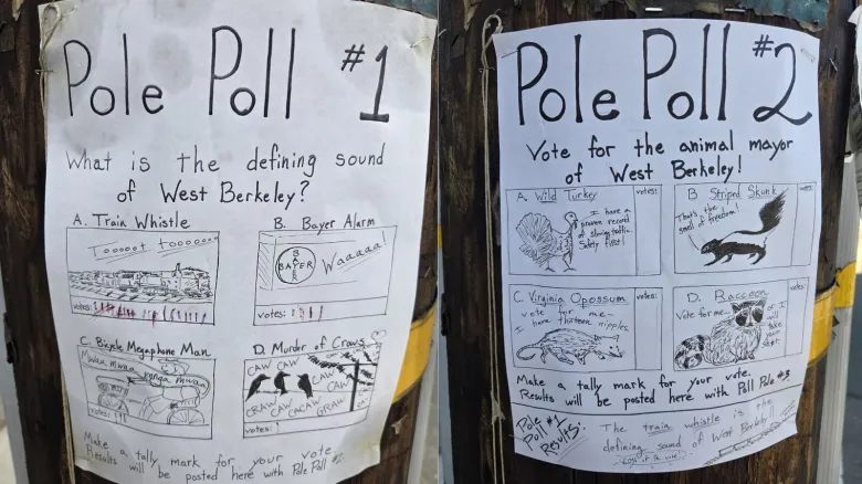 Two Pole Polls stapled to two utility poles.