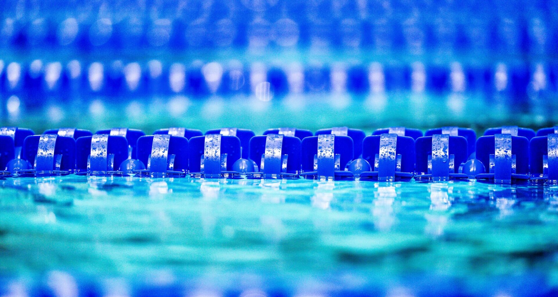 CSU Bakersfield Opts to Cancel Practices for Roadrunner Aquatics, Leaving Club to Close Operations