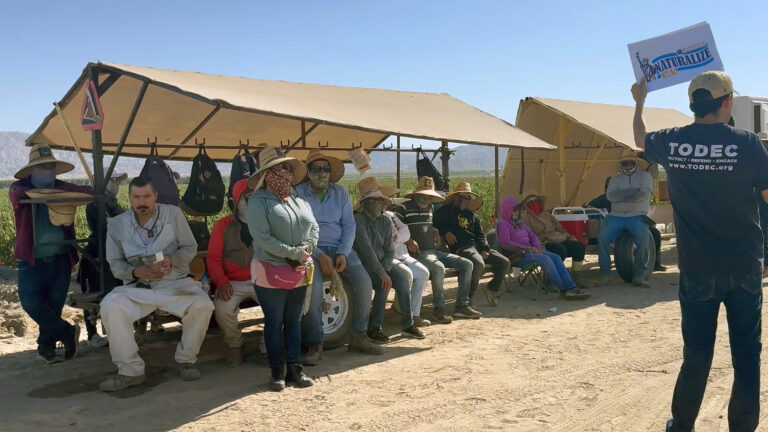 With green fields behind them, farmworkers sit in the shade under portable canopies.