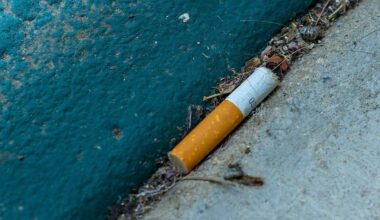 Cigarette butts take harsh toll on aquatic organisms – San Diego Union-Tribune
