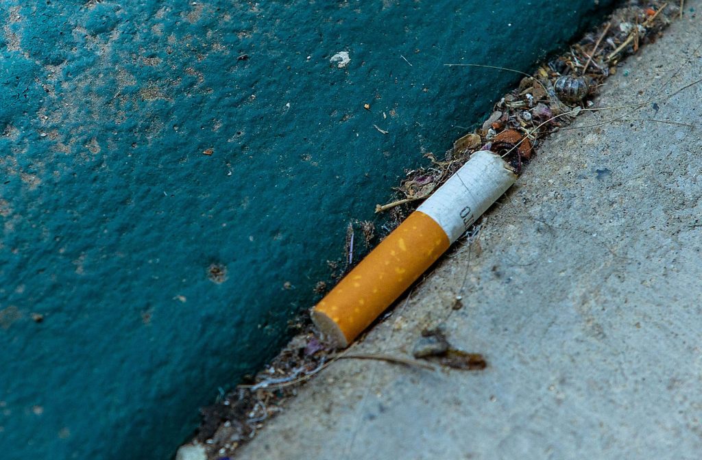 Cigarette butts take harsh toll on aquatic organisms – San Diego Union-Tribune