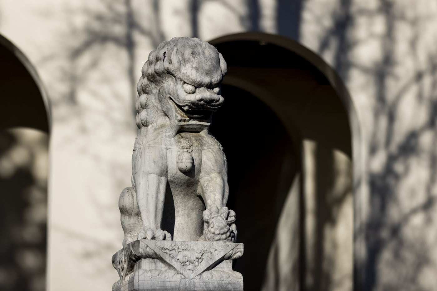 Meet the Fu Dogs that Guard Northeastern Oakland’s Art Museum