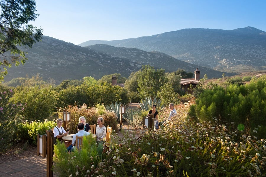 rancho la puerta best international wellness retreat